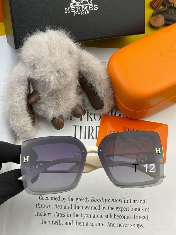 Hermes Sunglasses 40